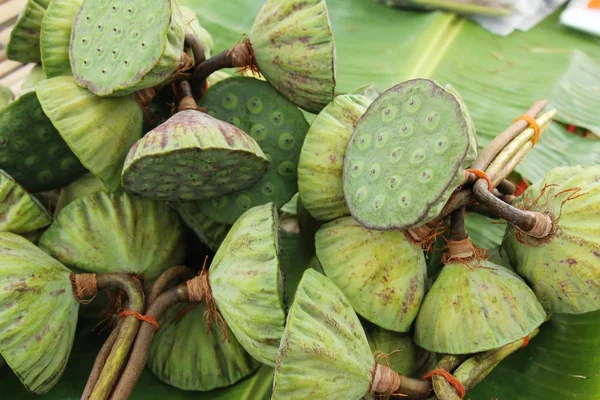 Lotus tohumu sokak gıda lezzetli — Stok fotoğraf