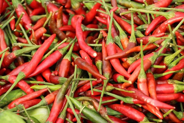 Fresh chilli for cooking at street food — Stock Photo, Image