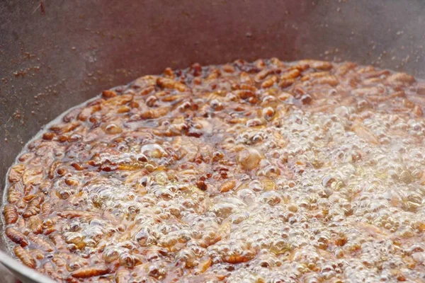 Gebratene Seidenraupen schmecken in der Pfanne — Stockfoto