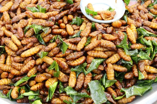 Fried silk worms delicious in street food — Stock Photo, Image