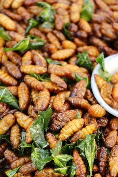 Fried ipek solucanlar sokak gıda lezzetli — Stok fotoğraf