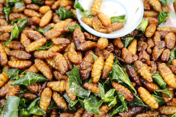 Fried silk worms delicious in street food — Stock Photo, Image