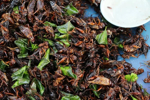 油炸昆虫在街头食物中很好吃。 — 图库照片