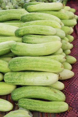 Belgili tanımlık çarşı içinde yemek pişirmek için taze salatalık