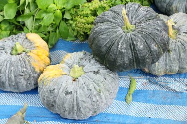 Belgili tanımlık çarşı içinde yemek pişirmek için taze kabak