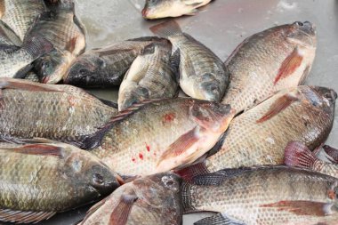 Taze balık sokak gıda yemek pişirmek için