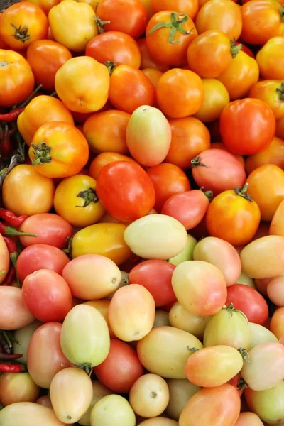 Tomates frescos para cocinar en comida callejera —  Fotos de Stock