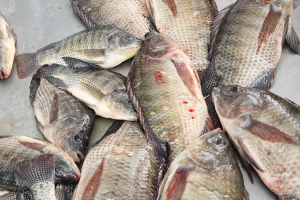 Verse vis voor het koken op straat eten — Stockfoto