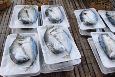 Sokak gıda lezzetli haşlanmış uskumru balığı