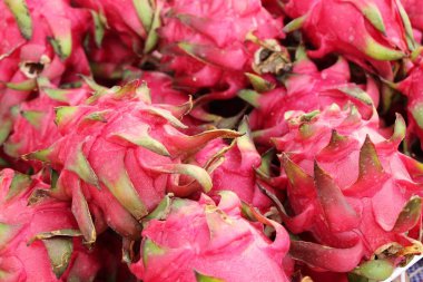 Taze dragon meyve organik pazar