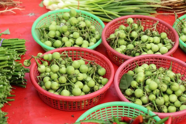 Fresh eggplant green organic is a bunch — Stock Photo, Image