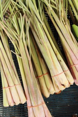 Taze limon otu pazarda yemek pişirmek için