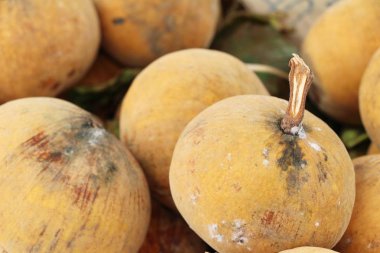 Santon meyve sokak gıda lezzetlidir