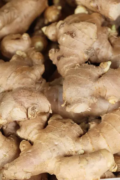 Ingefära för matlagning på marknaden — Stockfoto