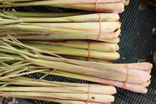 Hierba fresca de limón para cocinar en el mercado — Foto de Stock