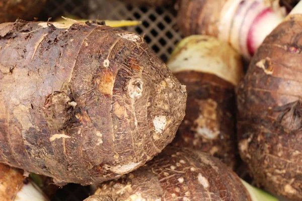 fresh taro root for cooking in market
