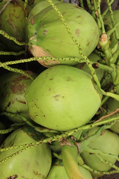 Fruta de coco es delicioso en la comida de la calle — Foto de Stock