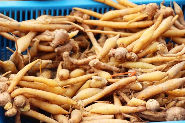 Gember wortel voor het koken op de markt — Stockfoto