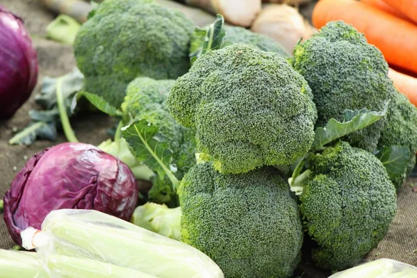 Légume brocoli pour cuisiner sur le marché — Photo