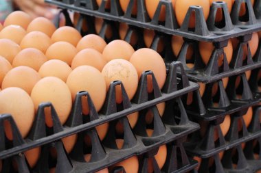 Sokak gıda panelinde yumurta