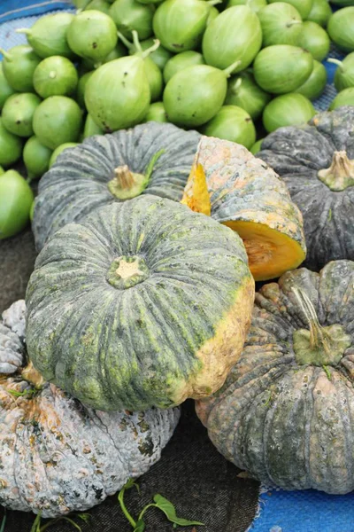 Citrouille fraîche pour cuisiner sur le marché — Photo