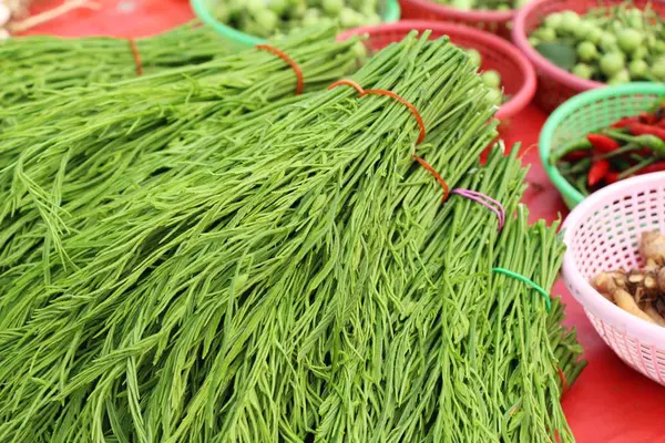 Acacia pennata para cozinhar em comida de rua — Fotografia de Stock
