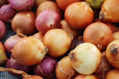 Sokak gıda yemek pişirmek için taze soğan