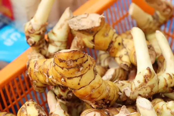 Färsk galangal för matlagning på marknaden — Stockfoto