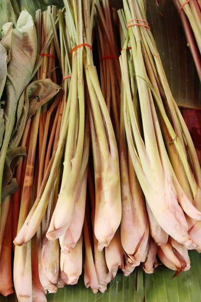 Färsk citron gräs för matlagning på marknaden — Stockfoto