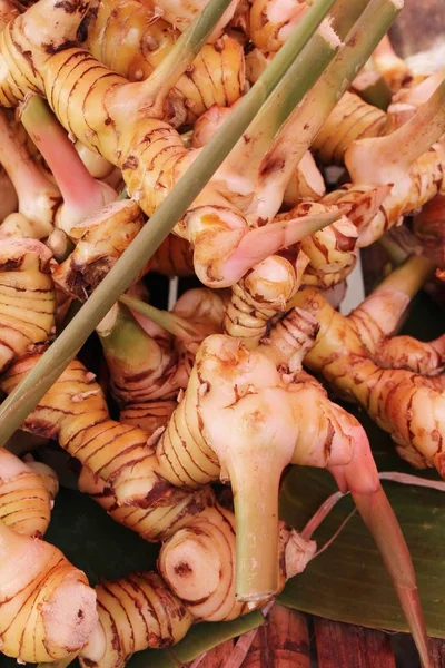 Fresh galangal do gotowania na rynku — Zdjęcie stockowe