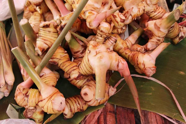 Galangal fresco per cucinare nel mercato — Foto Stock