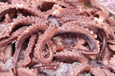 Sokak gıda yemek pişirmek için taze kalamar