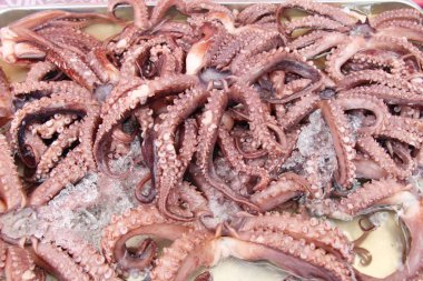 Sokak gıda yemek pişirmek için taze kalamar