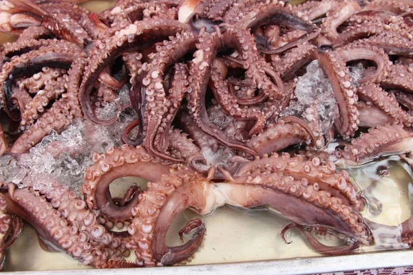 Sokak gıda yemek pişirmek için taze kalamar