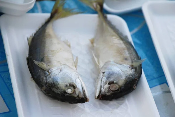 Makreel vissen op straat eten heerlijk gestoomde — Stockfoto