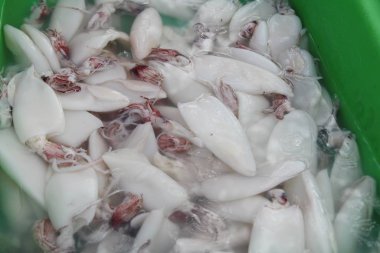 Sokak gıda yemek pişirmek için taze kalamar