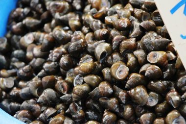 Taze kabuklu deniz ürünleri piyasada yemek pişirmek için