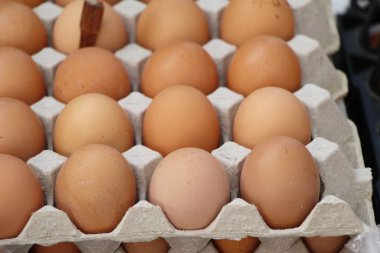 Sokak gıda panelinde yumurta