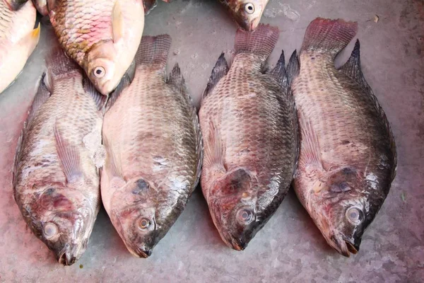 Färsk fisk för matlagning på gata mat — Stockfoto