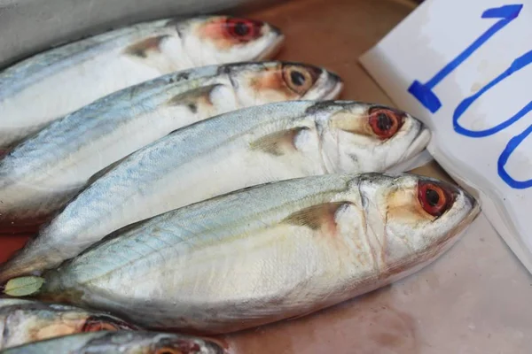 Свежая рыба для приготовления пищи на улице — стоковое фото