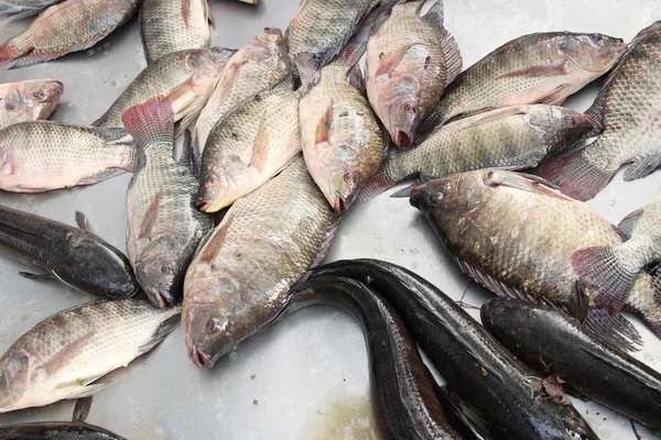 Pesce fresco per cucinare allo street food — Foto Stock