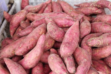 Pazarda yemek yapmak için taze yer elması.