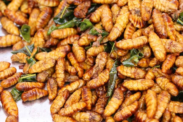 Vermes de seda fritos deliciosos em comida de rua — Fotografia de Stock