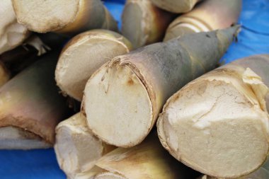 Tatlı bambu markette yemek pişirmek için ateş