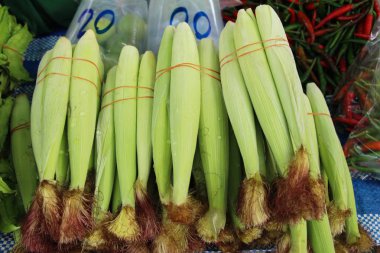 sokak gıda pişirme için bebek Mısır