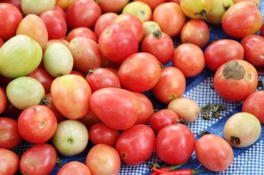 Sokak gıda yemek için taze domates