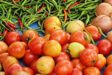 Sokak gıda yemek için taze domates