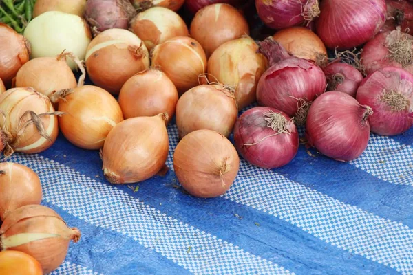 Cebolla fresca para cocinar en la calle — Foto de Stock