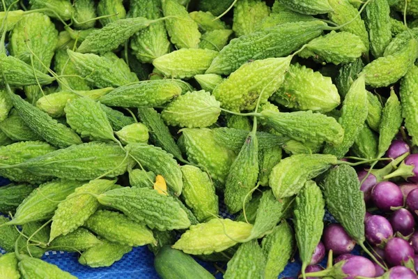 Melão amargo fresco para cozinhar no mercado — Fotografia de Stock