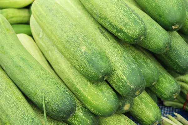 Verse komkommers voor het koken op de markt — Stockfoto